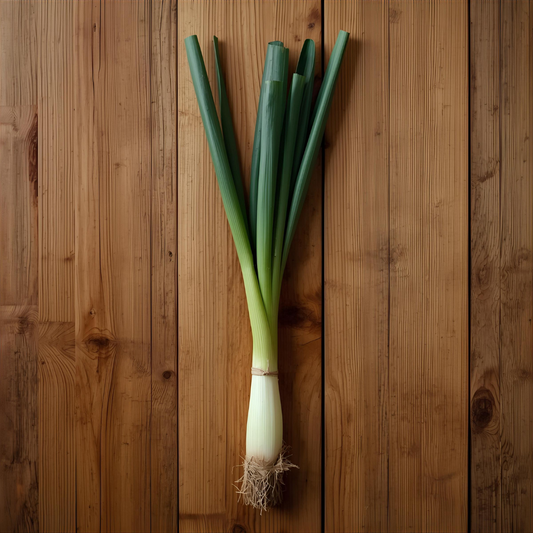 Green Onion – Indoor Growing Guide