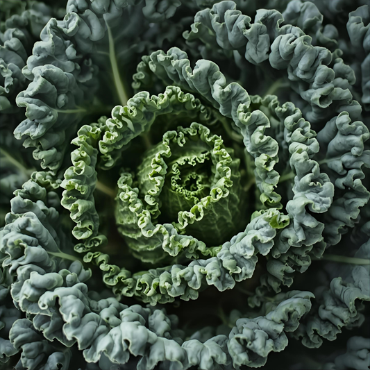 Kale – Indoor Growing Guide