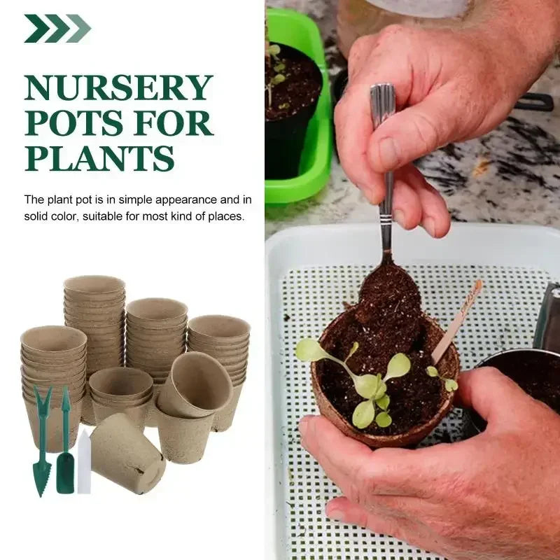 Biodegradable Seed Nursery Cups — Eco-Friendly Plant Starter Pots