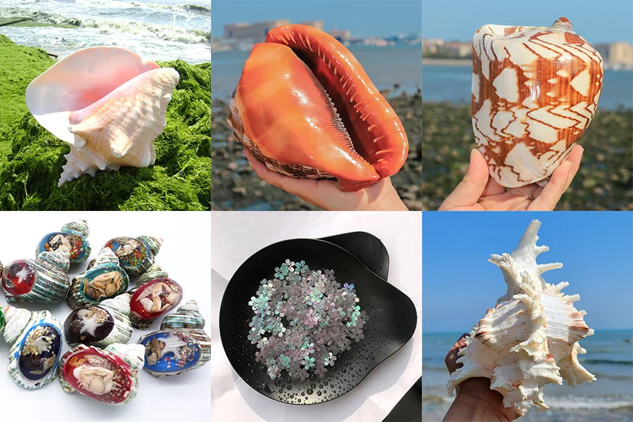 Palo Santo Natural Incense Sticks — Smudging & Aromatherapy