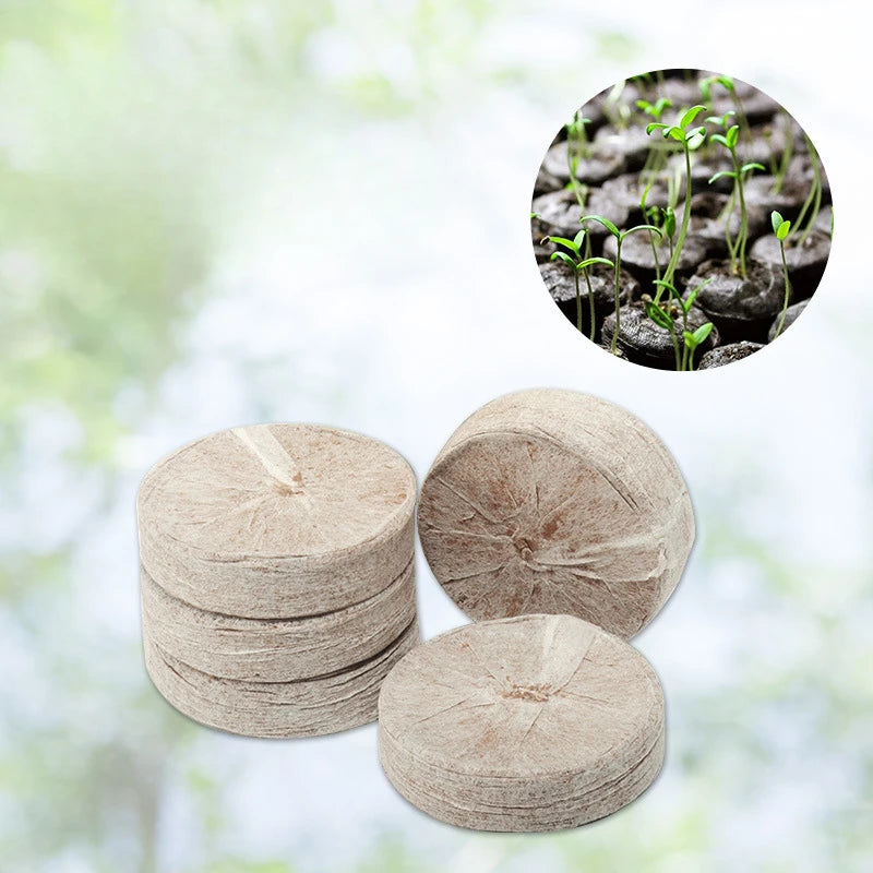 20pcs Seed Starter Blocks — Compressed Coconut Peat & Nutrient Medium