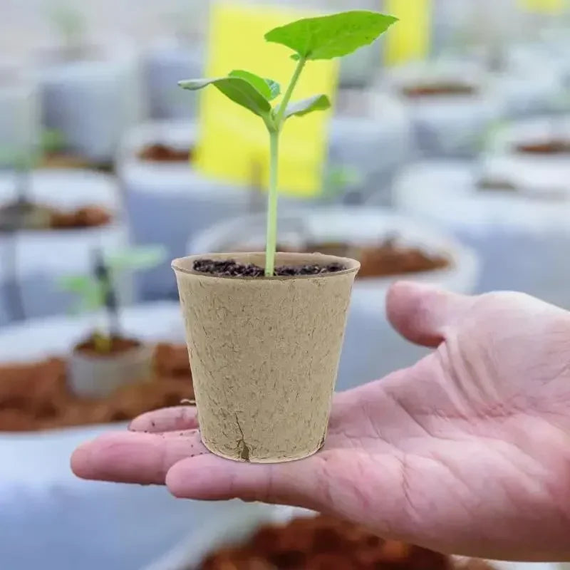 Biodegradable Seed Nursery Cups — Eco-Friendly Plant Starter Pots