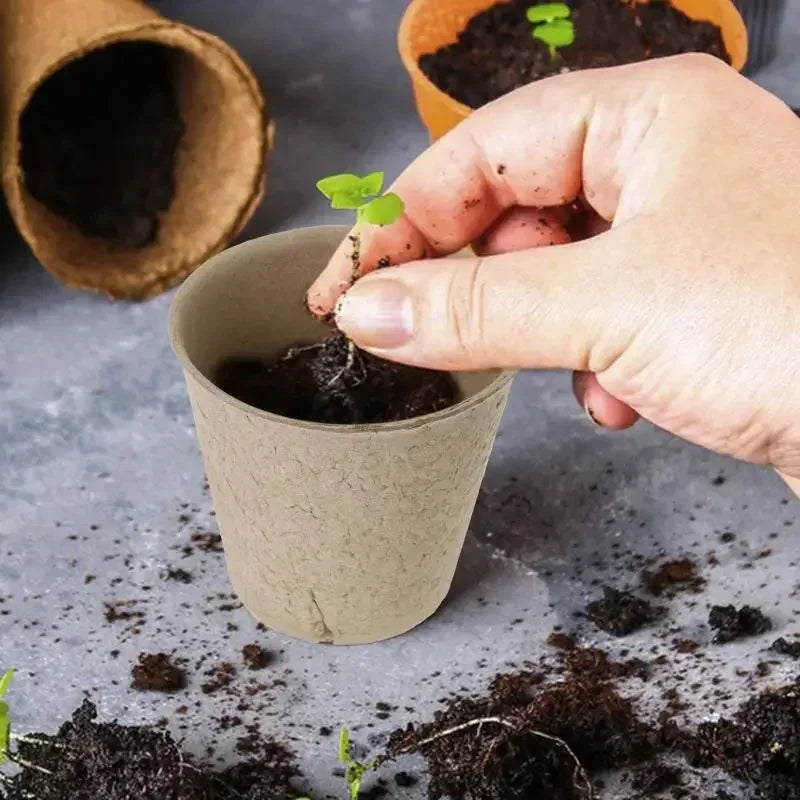 Biodegradable Seed Nursery Cups — Eco-Friendly Plant Starter Pots
