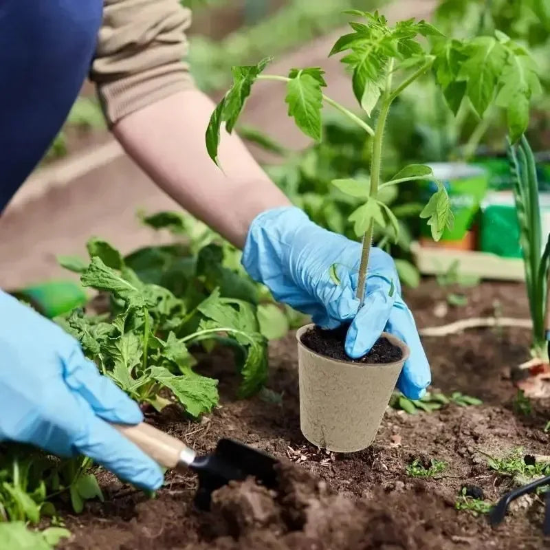 Biodegradable Seed Nursery Cups — Eco-Friendly Plant Starter Pots