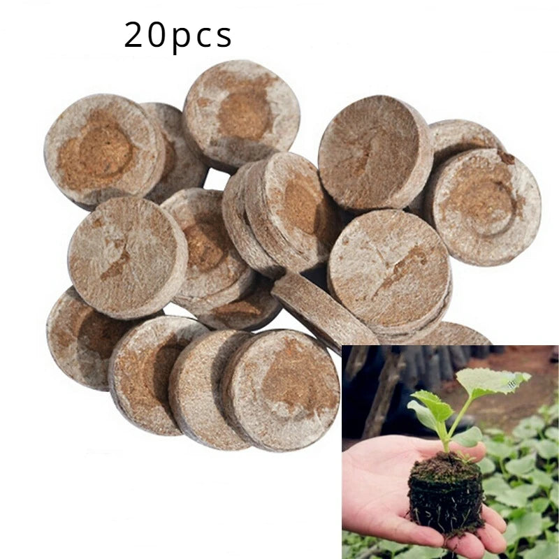 20pcs Seed Starter Blocks — Compressed Coconut Peat & Nutrient Medium