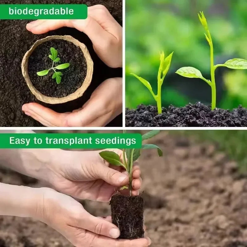 Biodegradable Seed Nursery Cups — Eco-Friendly Plant Starter Pots