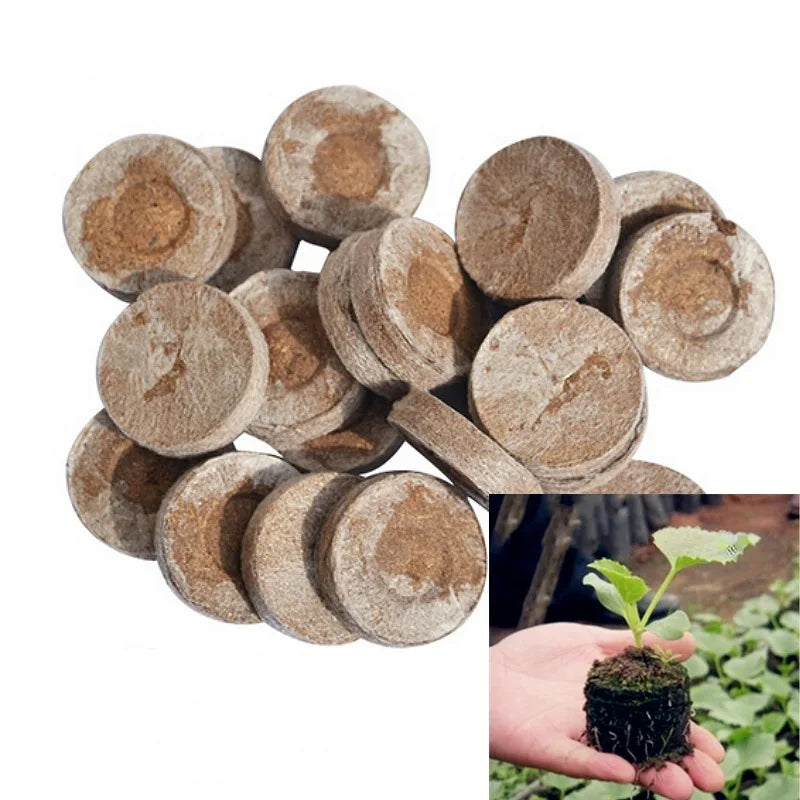 20pcs Seed Starter Blocks — Compressed Coconut Peat & Nutrient Medium