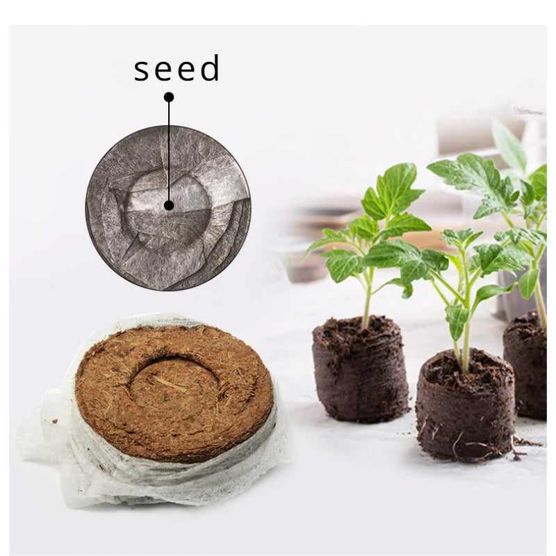 20pcs Seed Starter Blocks — Compressed Coconut Peat & Nutrient Medium