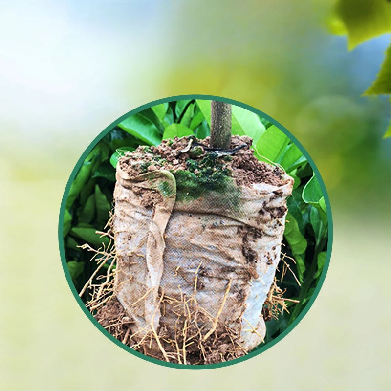 20pcs Seed Starter Blocks — Compressed Coconut Peat & Nutrient Medium