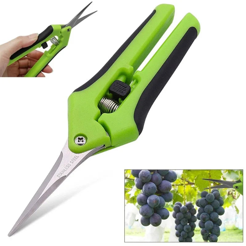 6.5 Inch Gardening Scissors Hand Pruner — Stainless Steel Blades