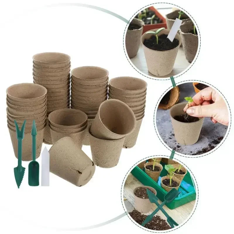 Biodegradable Seed Nursery Cups — Eco-Friendly Plant Starter Pots