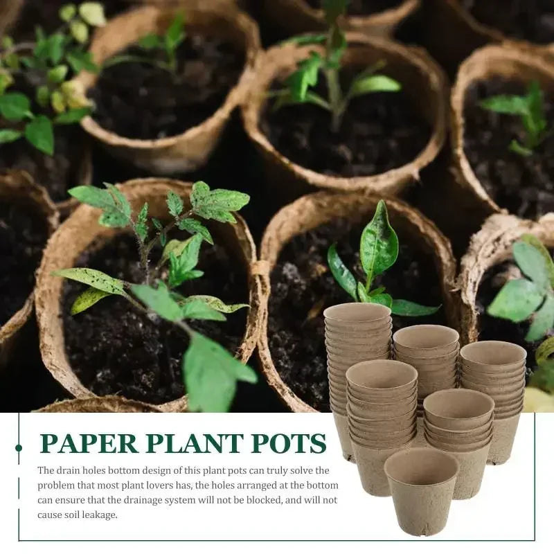 Biodegradable Seed Nursery Cups — Eco-Friendly Plant Starter Pots