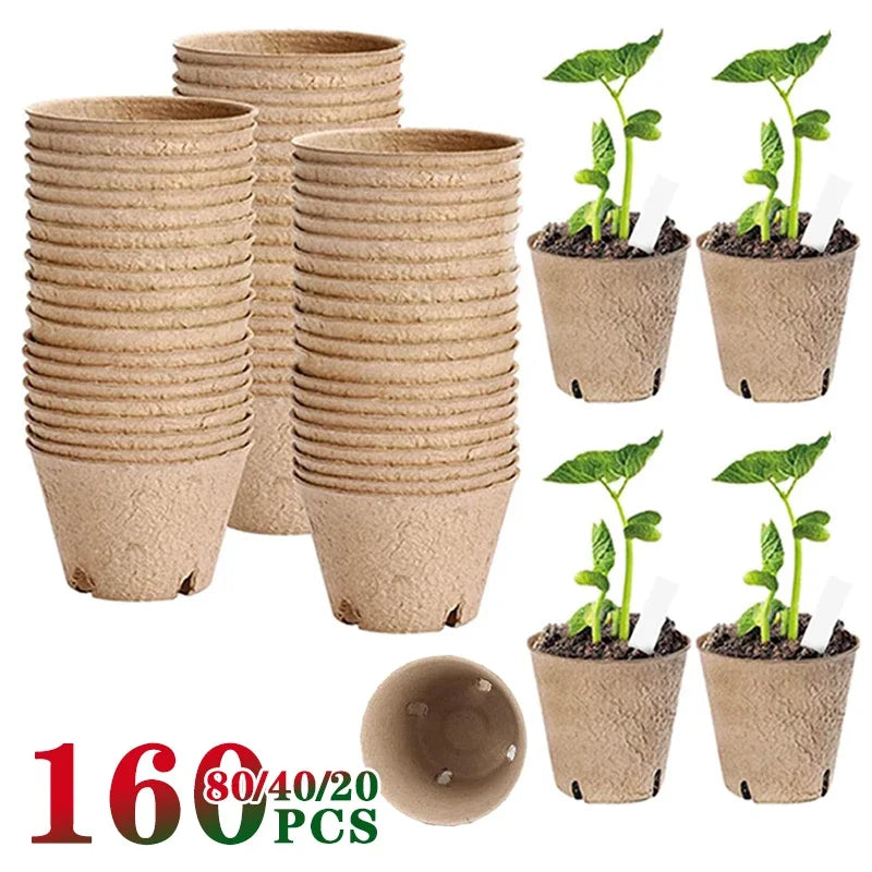 Biodegradable Seed Nursery Cups — Eco-Friendly Plant Starter Pots