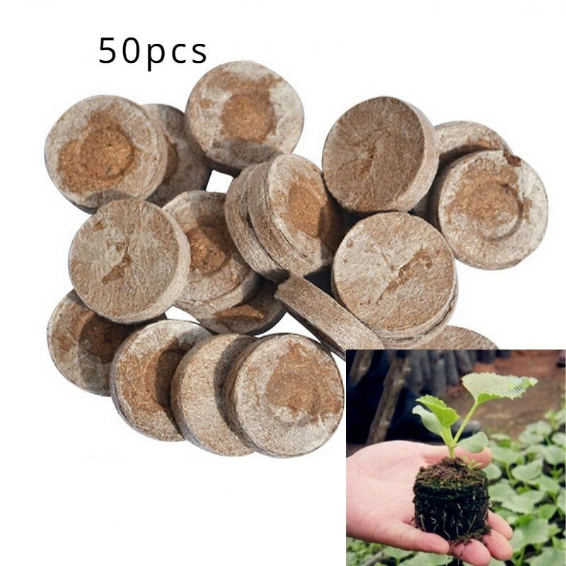 20pcs Seed Starter Blocks — Compressed Coconut Peat & Nutrient Medium