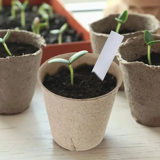 Biodegradable Seed Nursery Cups — Eco-Friendly Plant Starter Pots